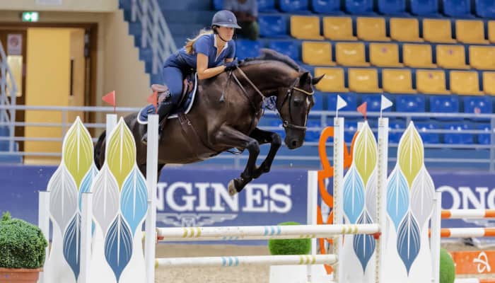 Revolution in the Ring: Deauville (France) to Host First Bitless Jumping Event This July!