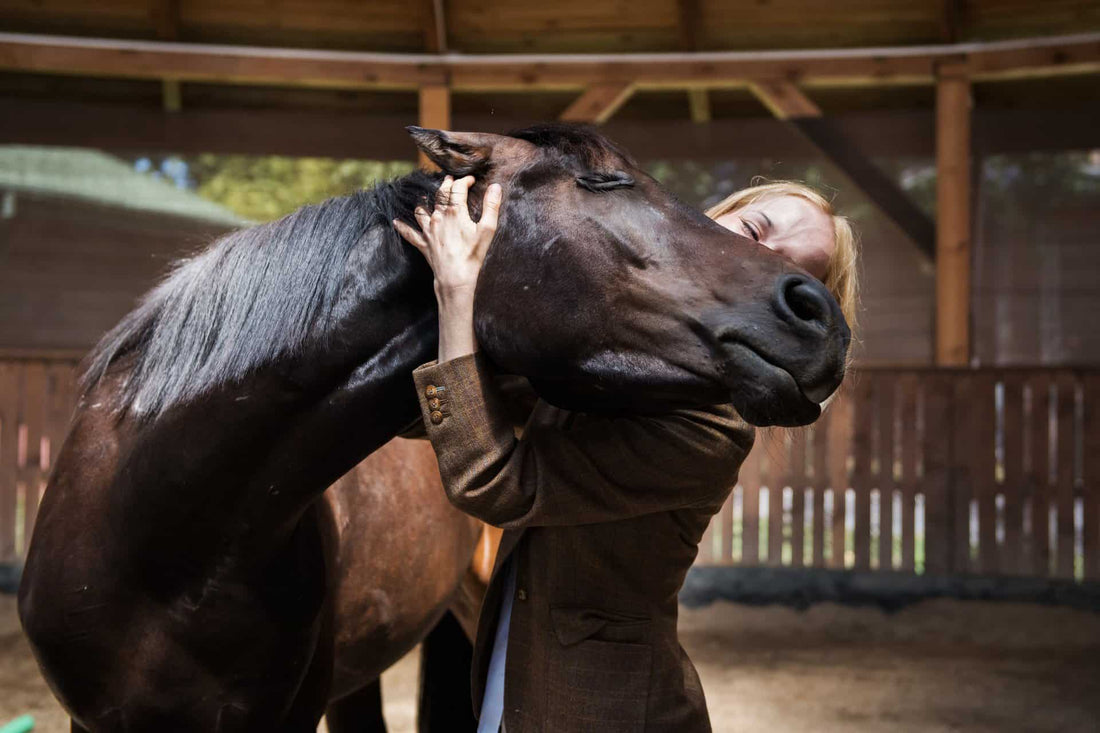 Shocking Truth: How Top Equine Athletes Stay 'Happy' – Unveiling the 'Happy Athlete' Secrets!