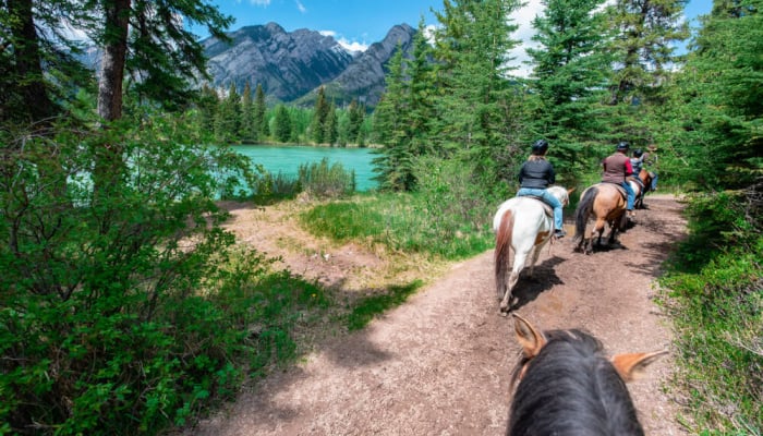 Why These 10 U.S. Horseback Riding Destinations Are Going Viral in 202 ...