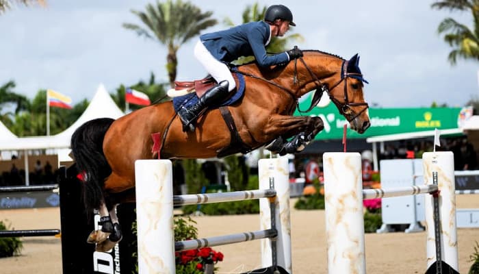 Unbelievable Finish at Wellington! How Ben Maher Defied Odds to Win Big - Photo https://www.instagram.com/ashleyneuhofphotography/