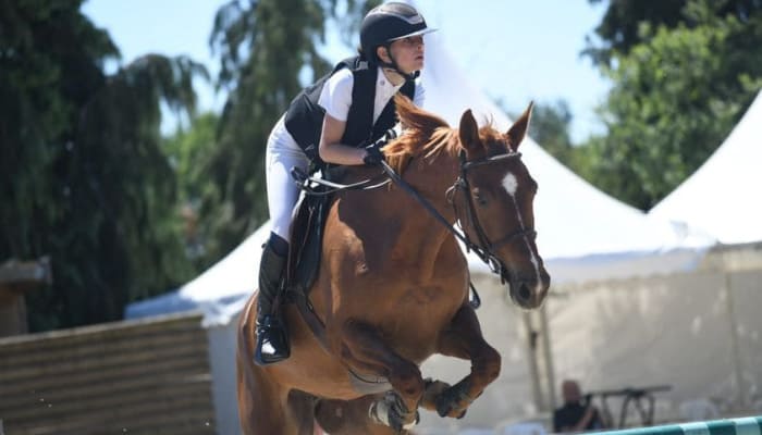 Unseen Guardian: The Game-Changer in Equestrian Safety