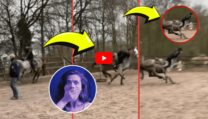 Dramatic Horse Ejection Caught on Cam: Witness Safety in Action!