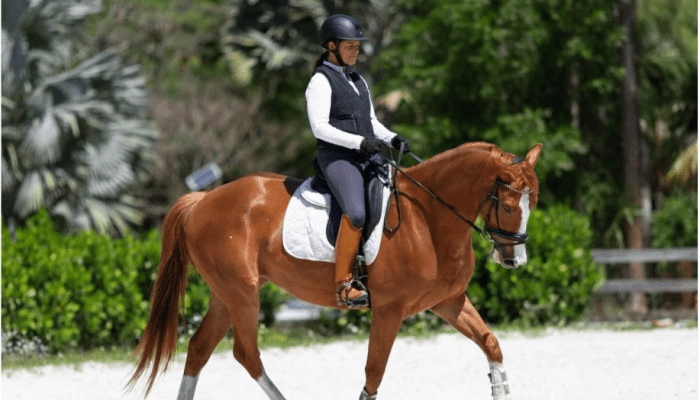 Revolutionizing Equestrian Safety: The Unmatched Protection of Helite Airbag Vests