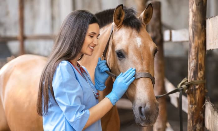 Two new equine cases of infectious anaemia have been detected in South Carolina