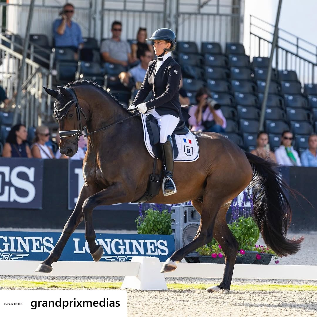 Camille Judet Chéret Sidelined After Serious Riding Accident