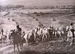 The WW2 Mission to Save the horses
