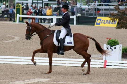 Olympic Equestrian Suspended 18 Months Over Horse Whipping Video