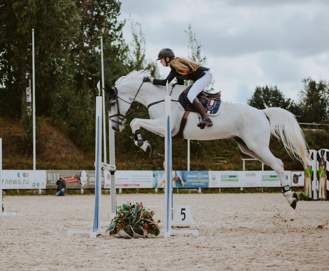 Understanding the 20 Percent Weight Rule for Horses