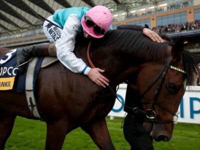 Frankel was often referred to as the “unbeatable wonder horse” because of his perfect record on the track. He is one of the most famous racehorses, some even compare him to Secretariat. He was one of the highest-rated racehorses in the world in 2011 and was named the equine version of Usain Bolt.