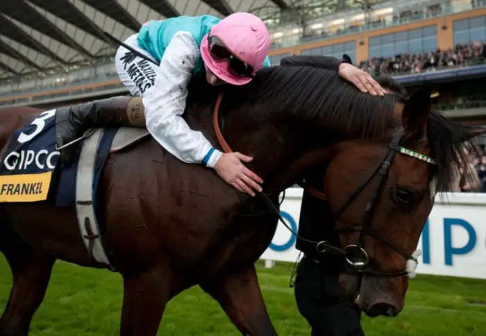 Frankel was often referred to as the “unbeatable wonder horse” because of his perfect record on the track. He is one of the most famous racehorses, some even compare him to Secretariat. He was one of the highest-rated racehorses in the world in 2011 and was named the equine version of Usain Bolt.
