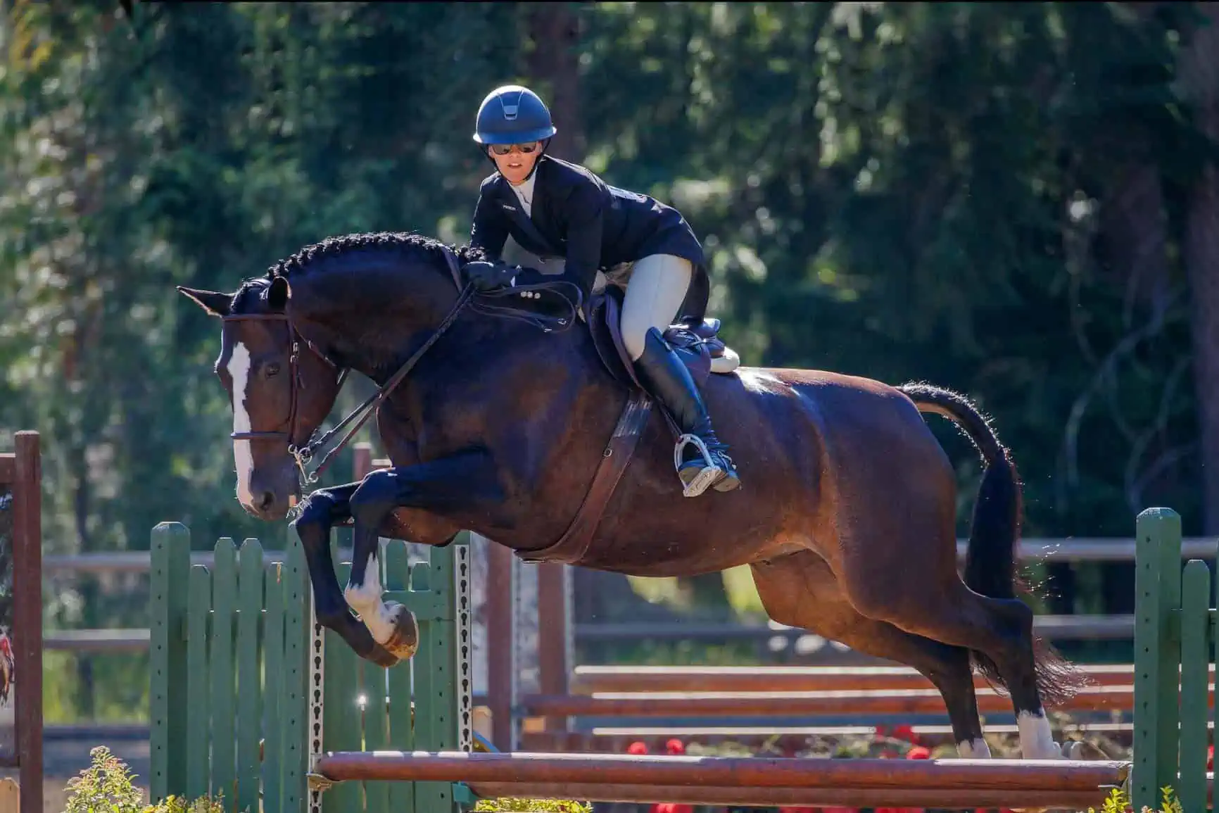 USHJA and IHSA have chosen Helite