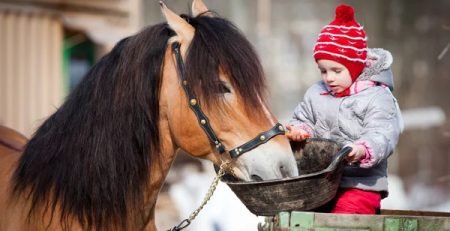 Horseback riding is a practice that can be started at a very young age. As a physical activity, it helps the physical and mental development of the child. The riders of these awakening sessions are called baby riders.