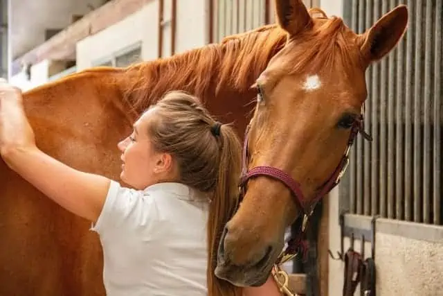 Do Horses Like To Be Ridden?