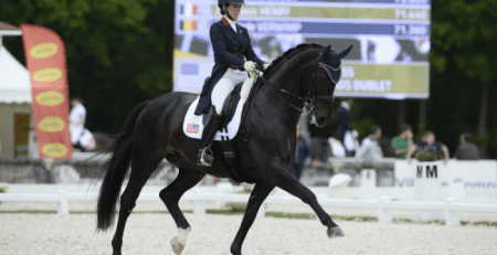 8 things to know about dressage
