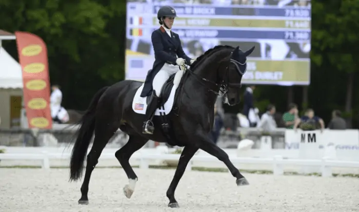 8 things to know about dressage