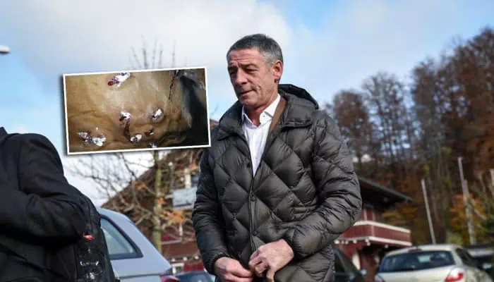 Breaking News: Equestrian Rider Paul Estermann Banned for 7 Years After Animal Cruelty Conviction!