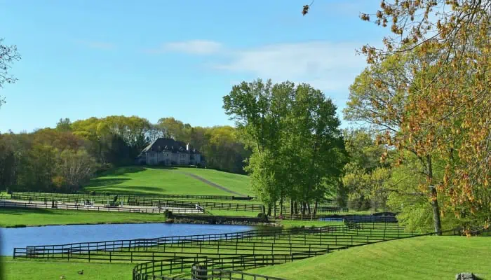 Ride Into Luxury: $15 Million Equestrian Farm Hits the Market in Connecticut