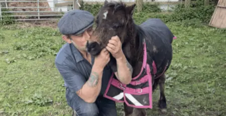 How a Homeless Man's Kindness Toward a Sick Pony Led to a Life-Changing Opportunity