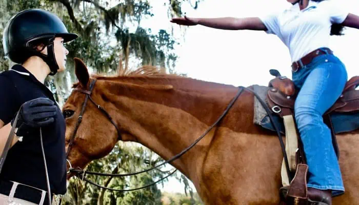 Gabrielle Diakon: Empowering Equestrians through GMD Training and Mindful Coaching