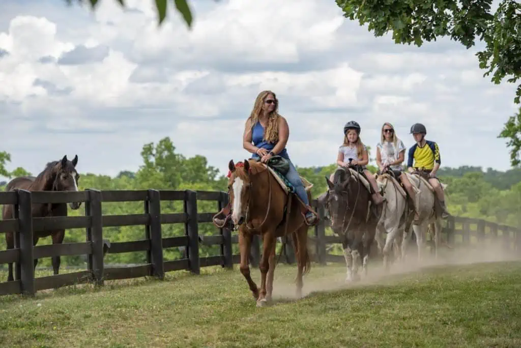 The Kentucky Horse Park in Lexington: Horse Capital of the World