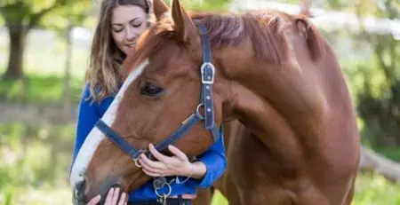 Buying a Horse: Everything You Need to Know to Live Out Your Equestrian Dream