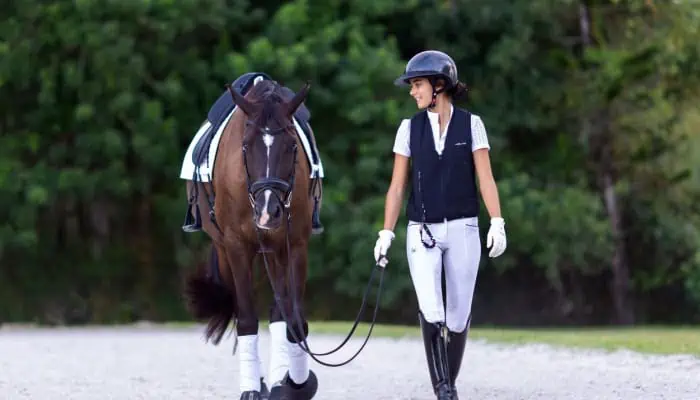 Whether you're a seasoned equestrian or a beginner, safety should always be a priority. One of the most effective safety measures is wearing an airbag vest. In this article, we'll delve into five compelling reasons why every rider should consider this essential gear. And trust us, reason number four will genuinely surprise you!