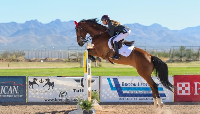 The New U.S. Trend: How Equestrian Federations & Experts Unite for ...